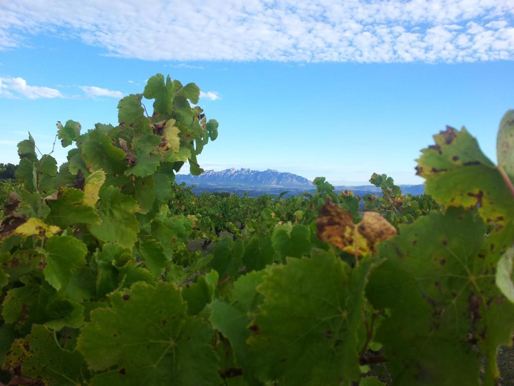 Agroturisme Cal Jeroni Avinyonet del Penedes Екстер'єр фото