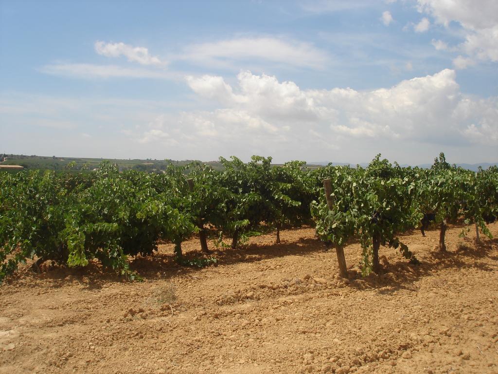 Agroturisme Cal Jeroni Avinyonet del Penedes Екстер'єр фото